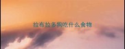 拉布拉多狗吃什么食物