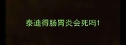 泰迪得肠胃炎会死吗