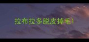 拉布拉多脱皮掉毛