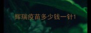 辉瑞疫苗多少钱一针