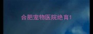 合肥宠物医院绝育