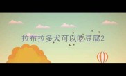 拉布拉多犬可以吃豆腐