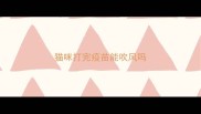 猫咪打完疫苗能吹风吗