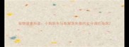 宠物健康科普小狗脱水与电解质失衡的盐分调控指南