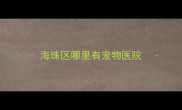 海珠区哪里有宠物医院