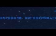 猫咪疫苗两次接种全攻略科学打疫苗的时间表与注意事项