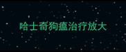 哈士奇狗瘟治疗放大