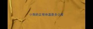 小狗的正常体温是多少度