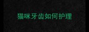猫咪牙齿如何护理