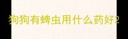 狗狗有蜱虫用什么药好