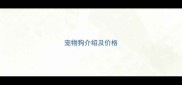宠物狗介绍及价格