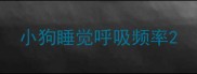 小狗睡觉呼吸频率