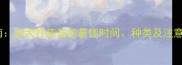 小狗疫苗接种全流程指南幼犬打疫苗的最佳时间种类及注意事项附详细时间表
