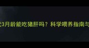 边境牧羊犬幼犬3月龄能吃猪肝吗科学喂养指南与营养补充方案