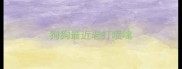 狗狗最近老打喷嚏