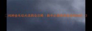 纯种金毛幼犬选购全攻略新手必看保姆级鉴别指南