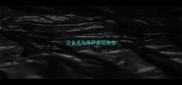 公金毛与母萨摩耶杂交