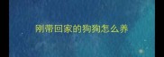 刚带回家的狗狗怎么养