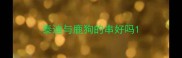 泰迪与鹿狗的串好吗