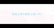 灰哈士奇大概多少钱一只