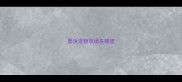 景洪宠物市场在哪里