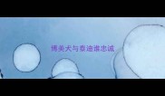 博美犬与泰迪谁忠诚