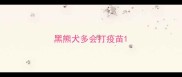 黑熊犬多会打疫苗