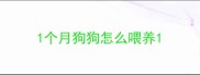 1个月狗狗怎么喂养
