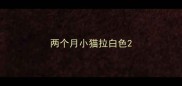 两个月小猫拉白色
