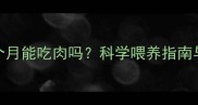 金毛幼犬四个月能吃肉吗科学喂养指南与营养配比全