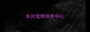 长兴宠物领养中心