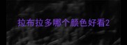 拉布拉多哪个颜色好看