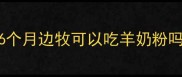 6个月边牧可以吃羊奶粉吗