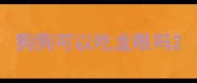 狗狗可以吃龙眼吗