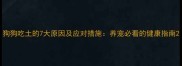 狗狗吃土的7大原因及应对措施养宠必看的健康指南