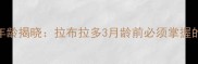 幼犬放养最佳年龄揭晓拉布拉多3月龄前必须掌握的5大安全准则