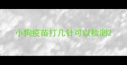 小狗疫苗打几针可以检测