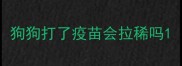 狗狗打了疫苗会拉稀吗