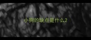小狗的缺点是什么