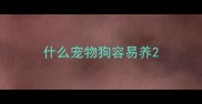 什么宠物狗容易养