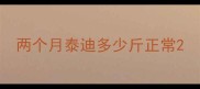 两个月泰迪多少斤正常