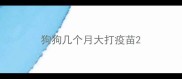 狗狗几个月大打疫苗