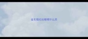 金毛呕吐拉稀喂什么药