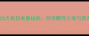 三个月大幼犬每日食量指南科学喂养方案与营养误区全