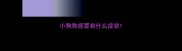 小狗狗感冒有什么症状