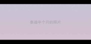 泰迪半个月的照片