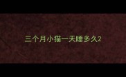 三个月小猫一天睡多久