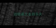边牧最大长到多大
