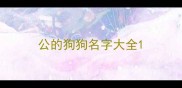 公的狗狗名字大全