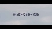 宠物接种疫苗抗体检测
